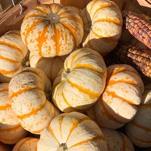 Meet your Posher, Linda